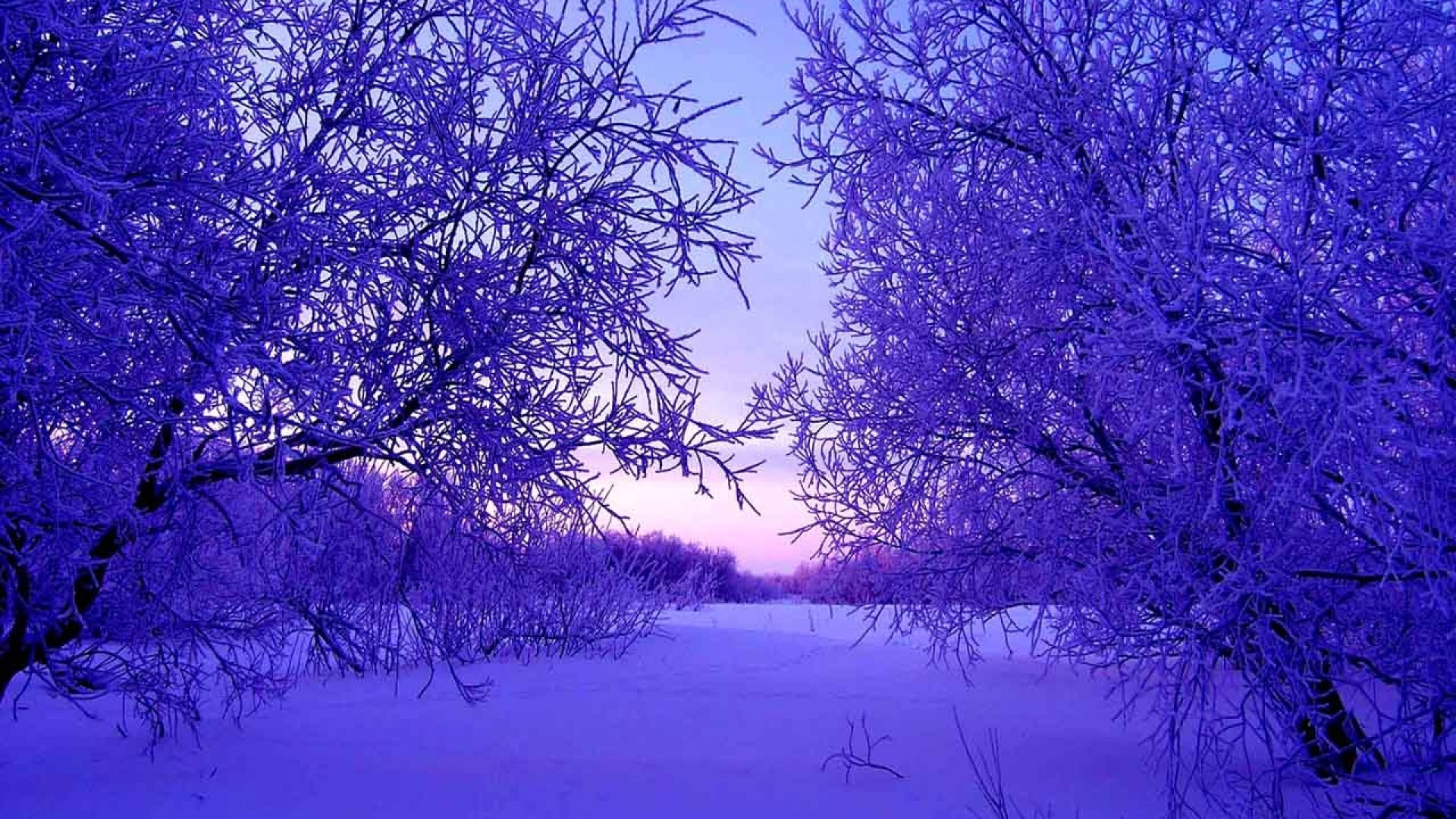 wallpaper kostenlos,blue,nature,natural landscape,purple,winter