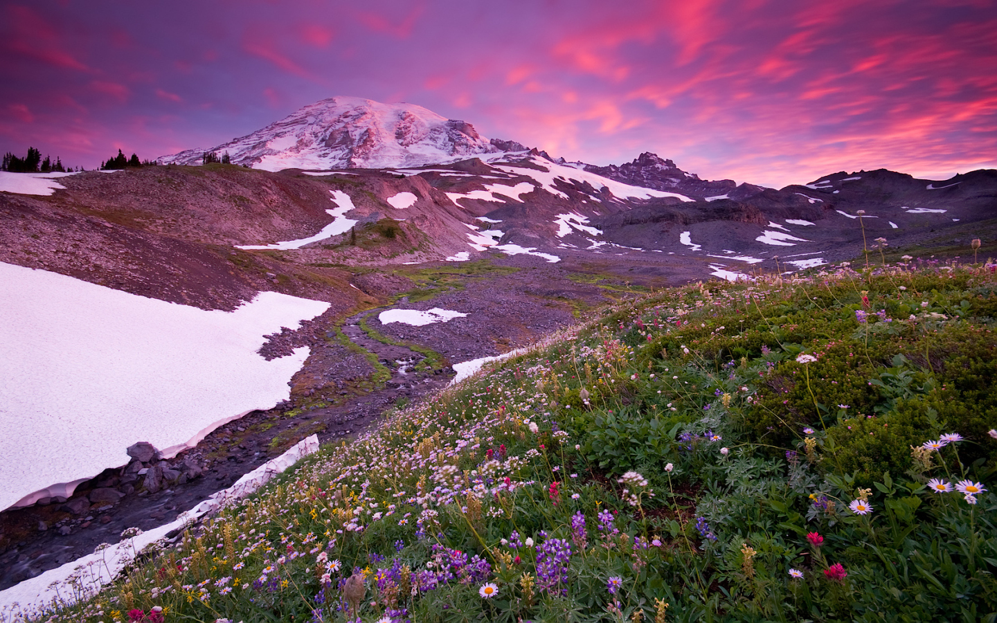 tapeten hd paisajes,berg,natürliche landschaft,natur,gebirge,wildblume