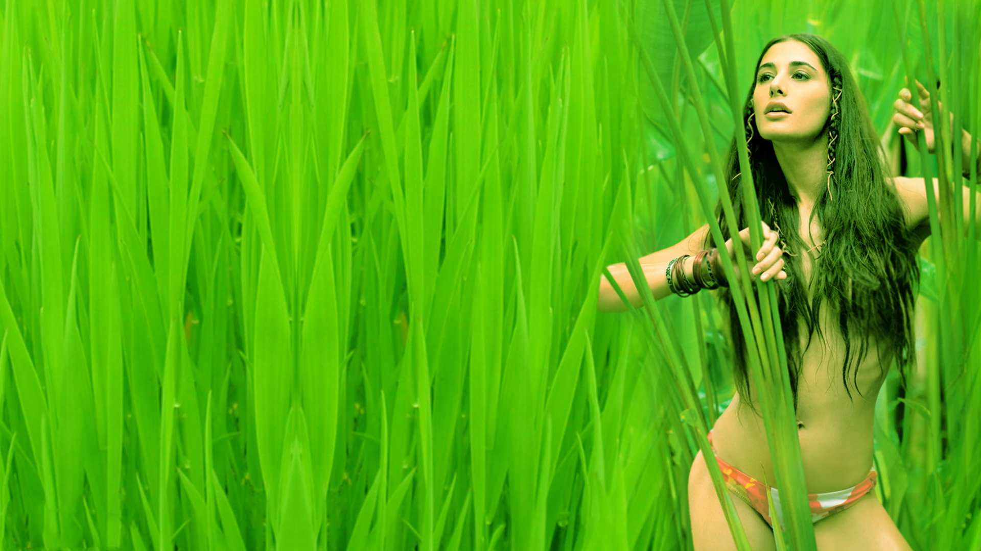 bikini fondos de pantalla hd,verde,césped,familia de la hierba,planta,cabello negro
