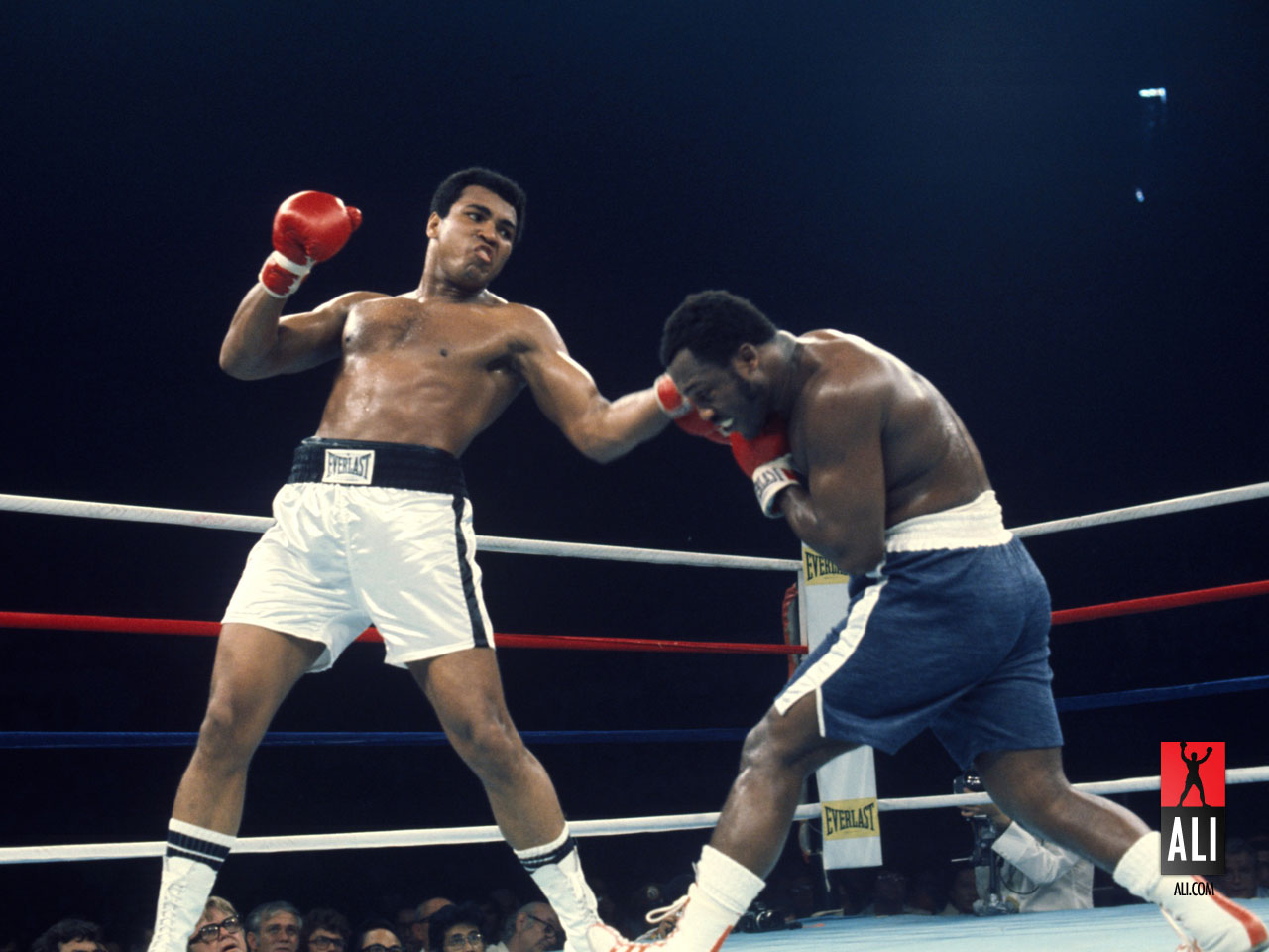 ali wallpaper,combat sport,boxing ring,boxing,sport venue,sports