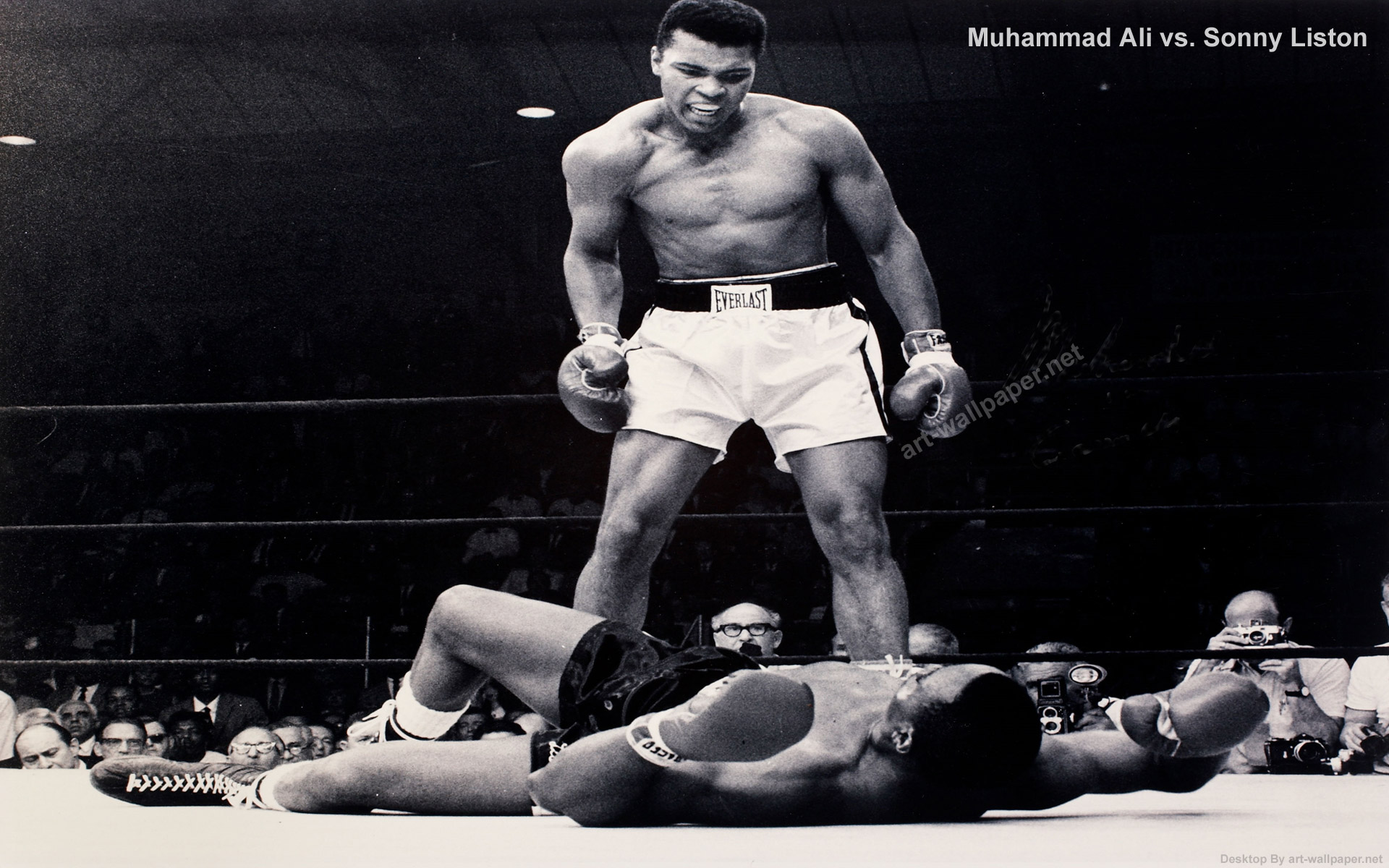 ali wallpaper,professional boxer,barechested,sport venue,combat sport,wrestler