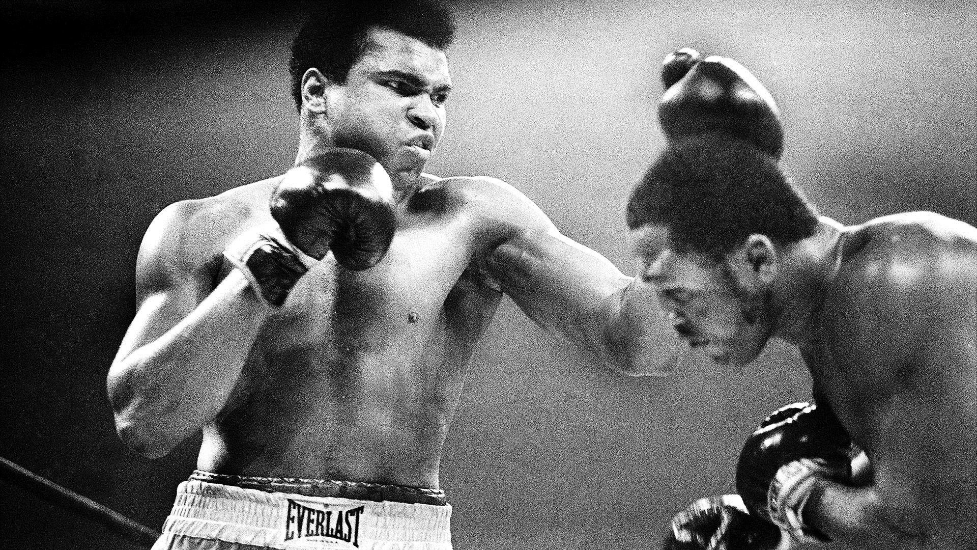 ali wallpaper,professional boxer,boxing,barechested,sport venue,professional boxing