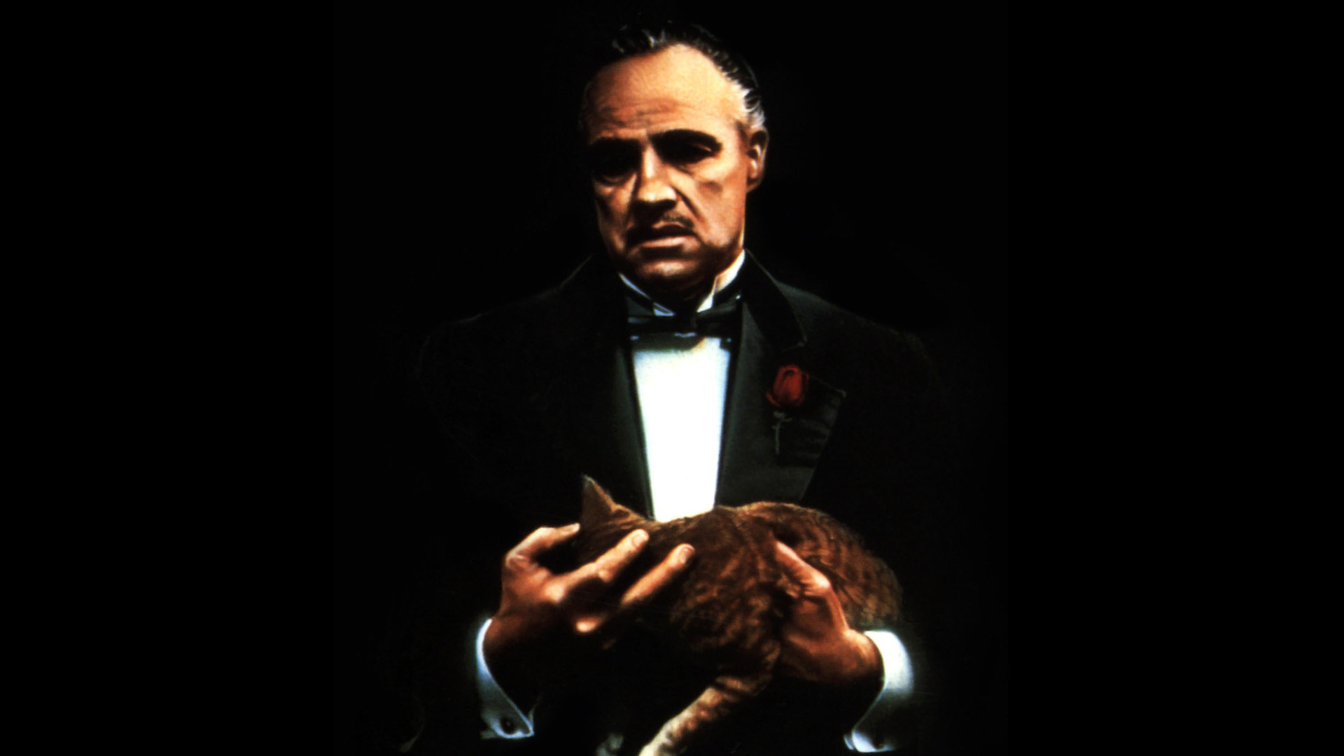 the godfather wallpaper,music,audio equipment,music artist,microphone,public speaking