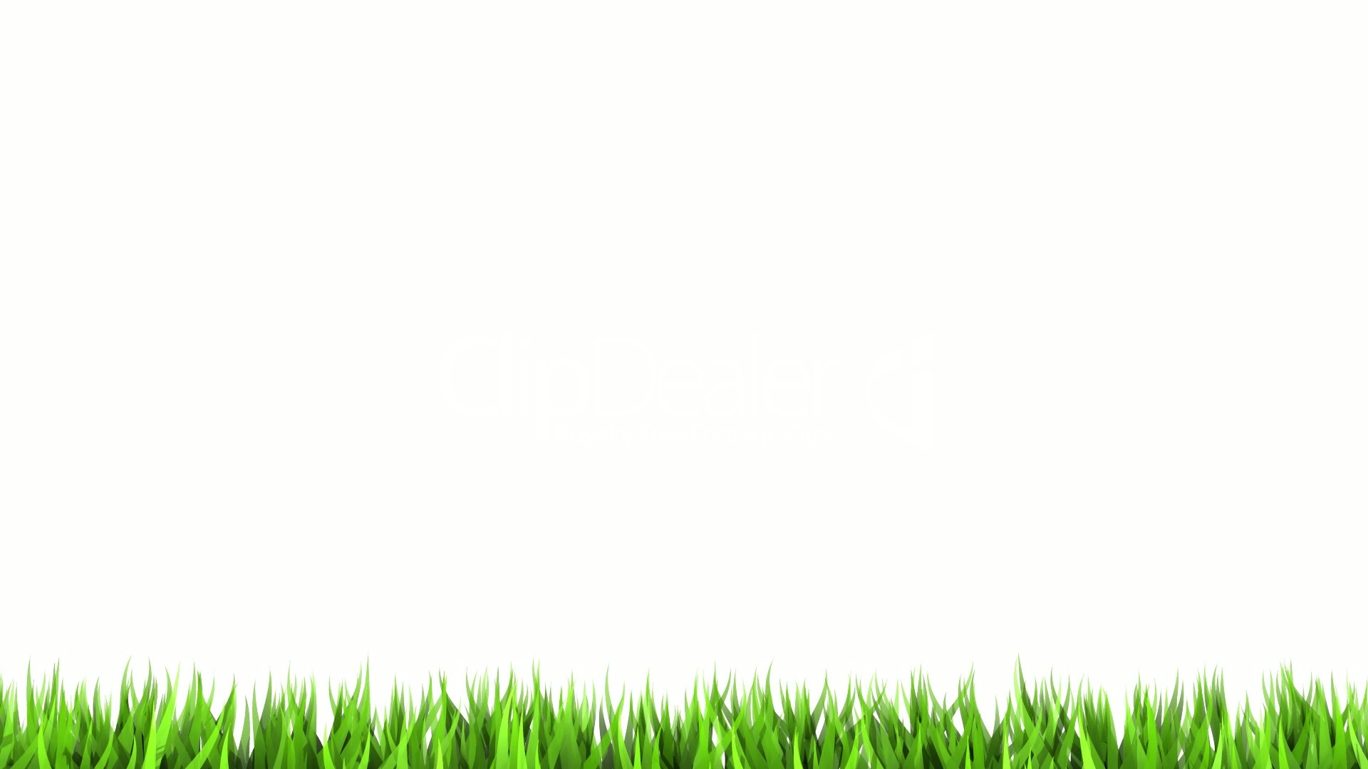 carta da parati di colore bianco,erba,verde,prato,pianta,erba sintetica