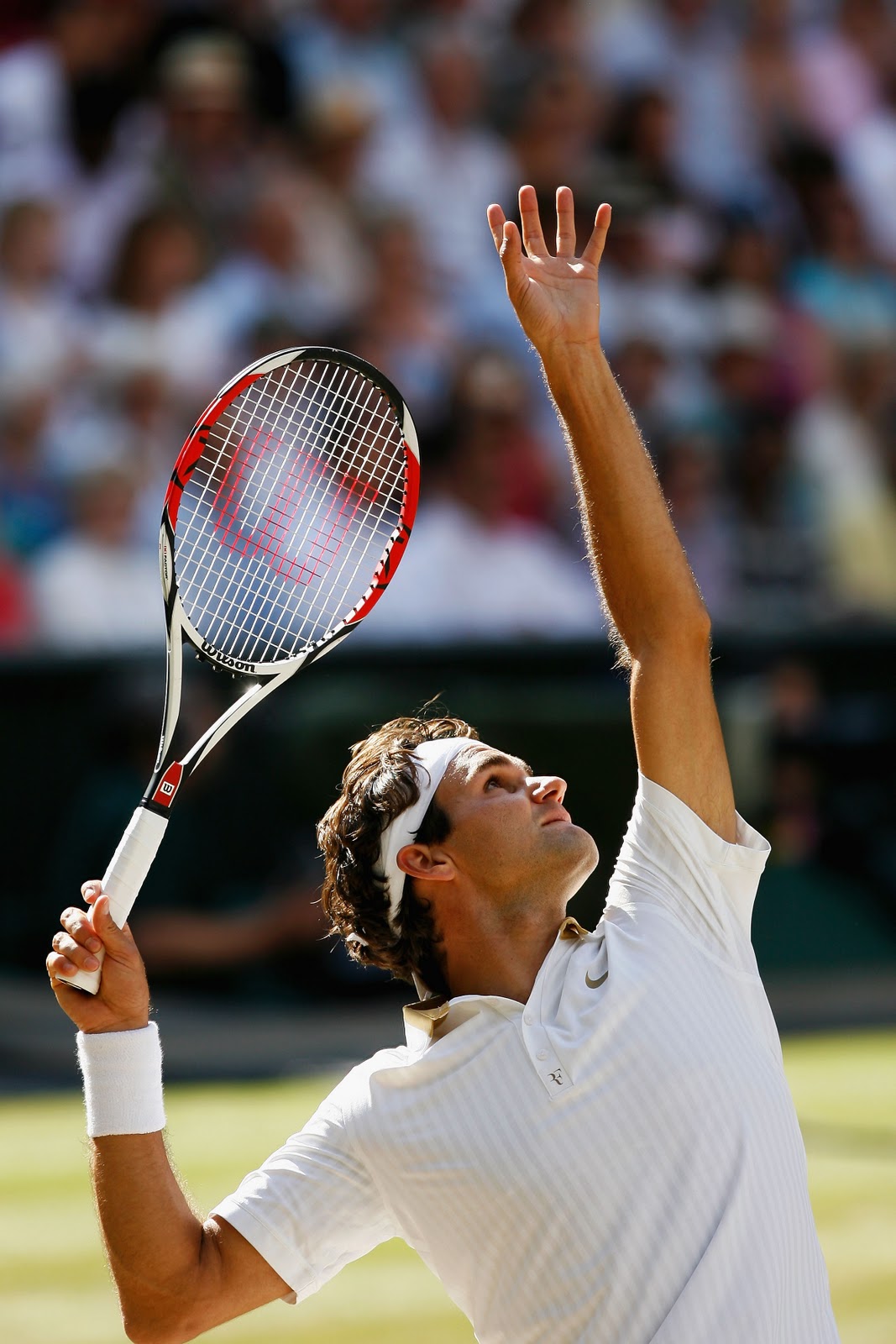 sfondo di roger federer,tennis,giocatore di tennis,gli sport,racchetta da tennis,racchetta