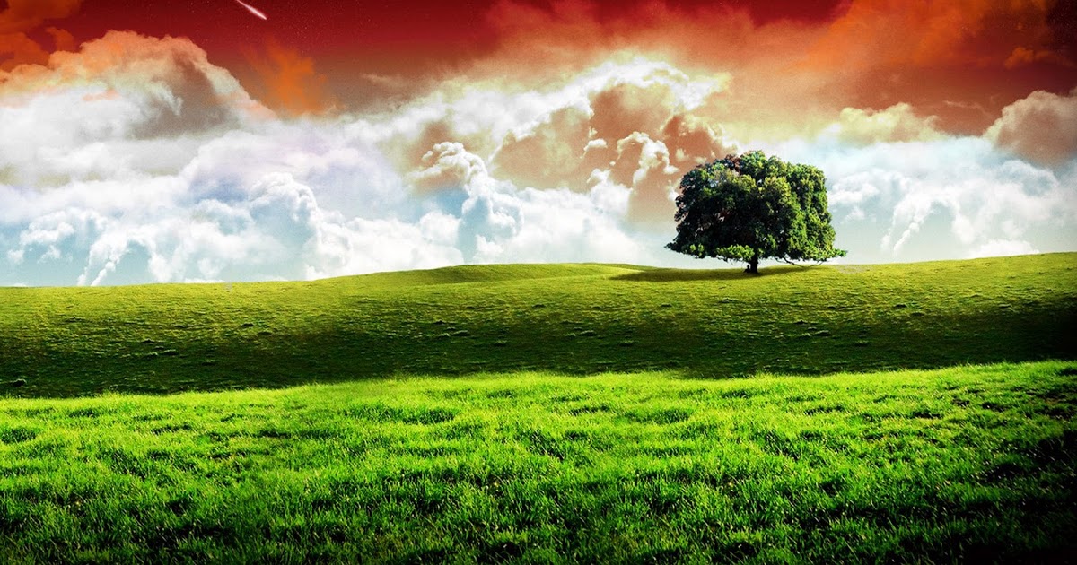 bhakti wallpaper herunterladen,natürliche landschaft,natur,wiese,grün,himmel