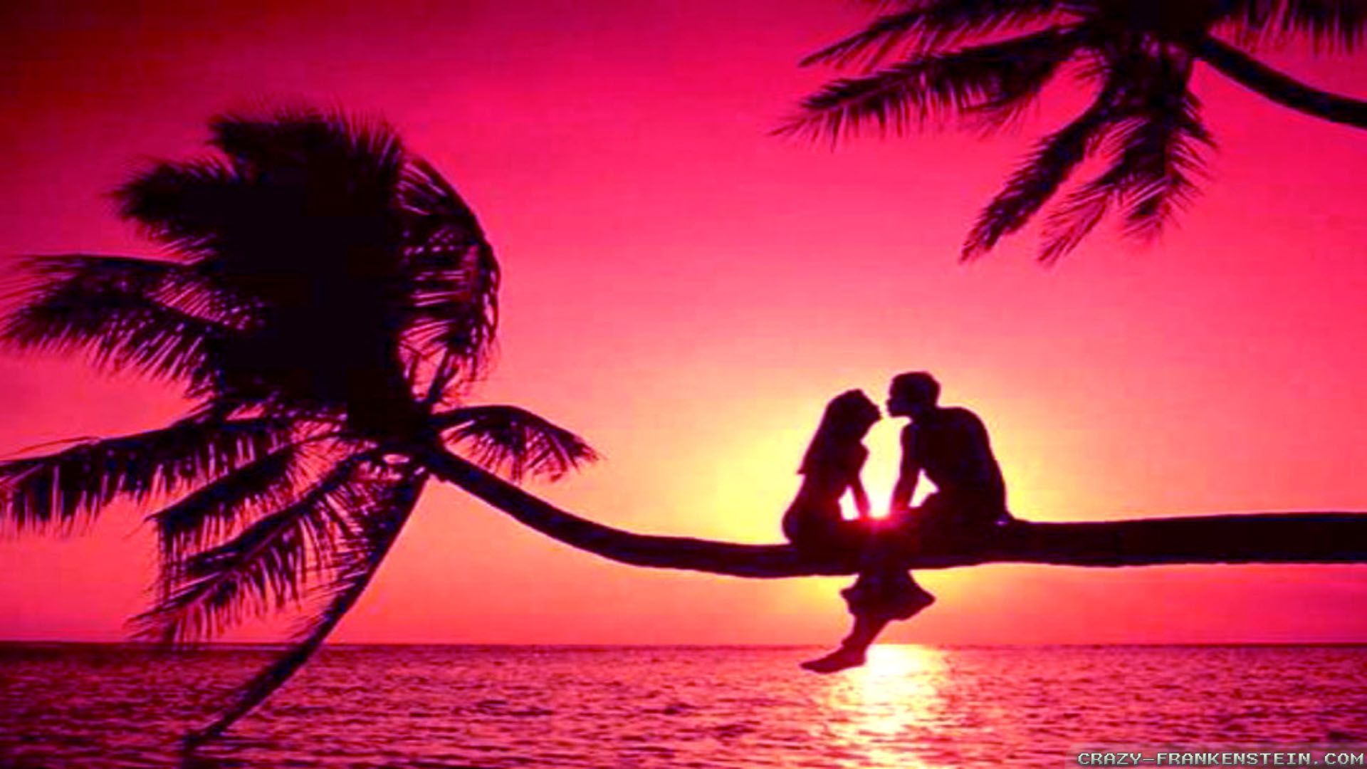 fond d'écran romantique pleine taille,ciel,romance,palmier,le coucher du soleil,arbre