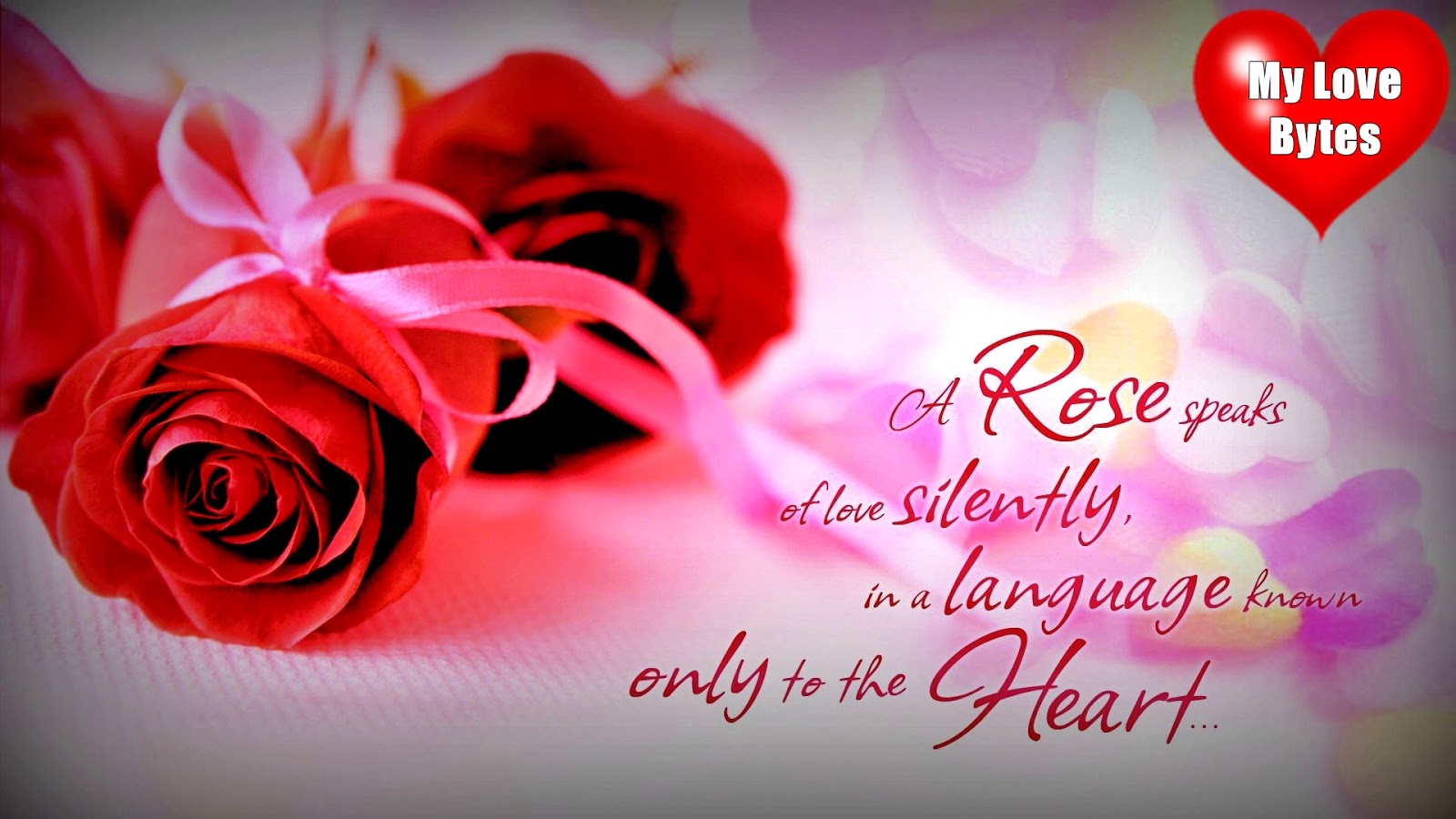 romantic wallpaper full size,red,valentine's day,text,pink,petal