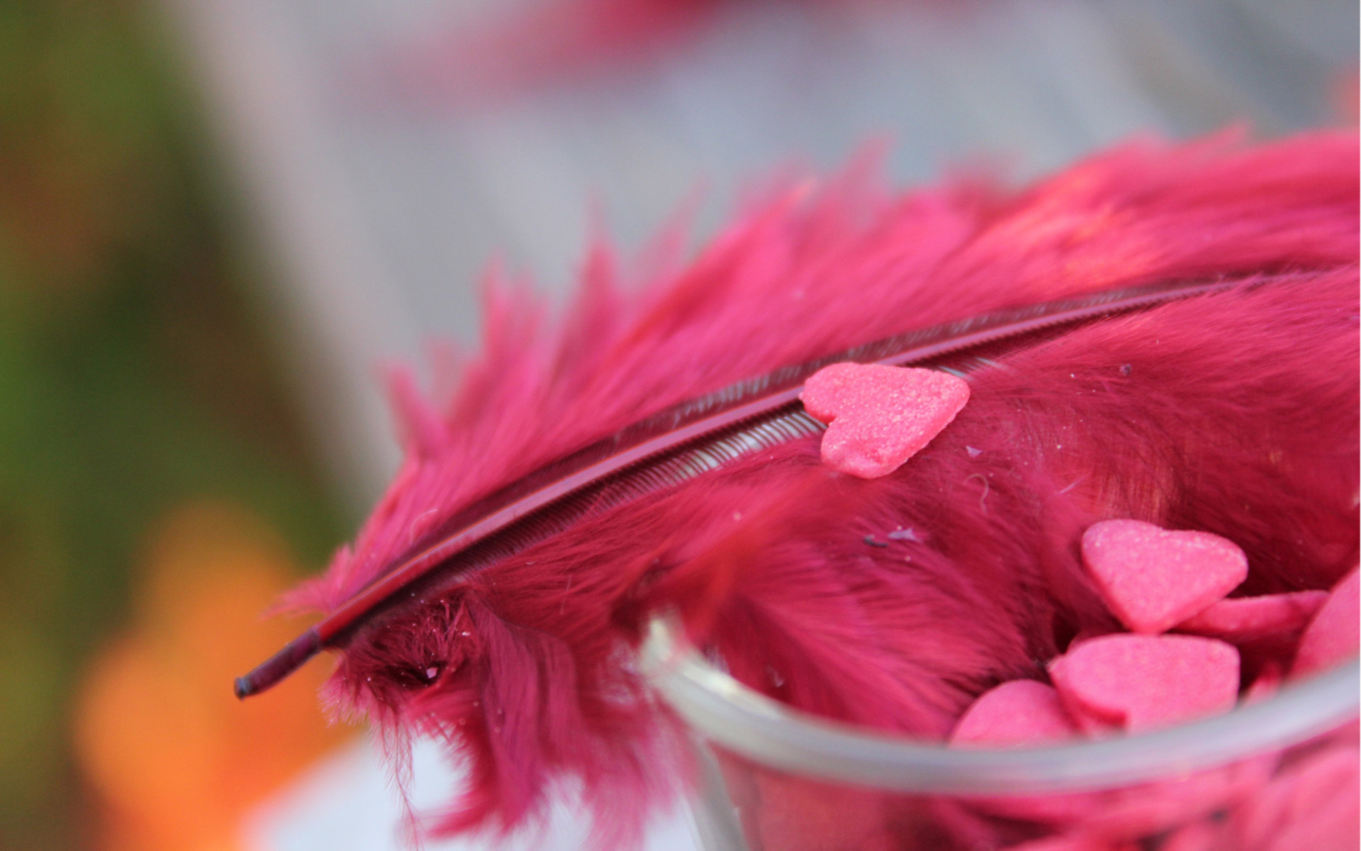 romantic wallpaper full size,pink,red,feather,close up,magenta