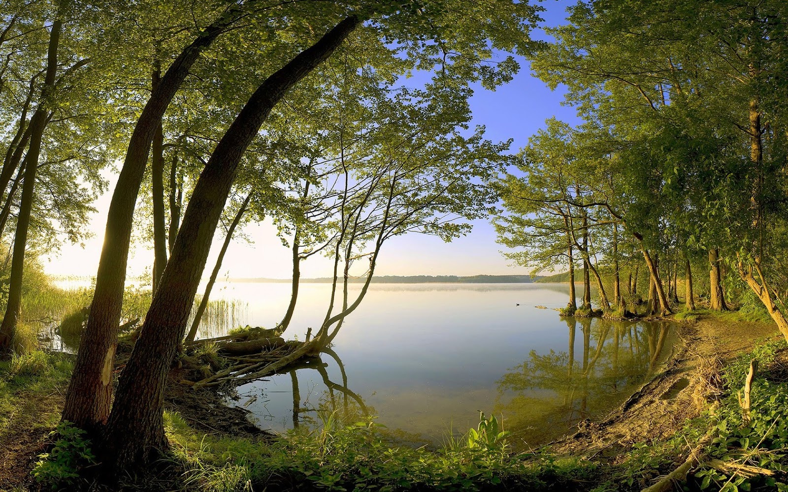 imagen natural fondo de pantalla hd,paisaje natural,naturaleza,árbol,cuerpo de agua,banco
