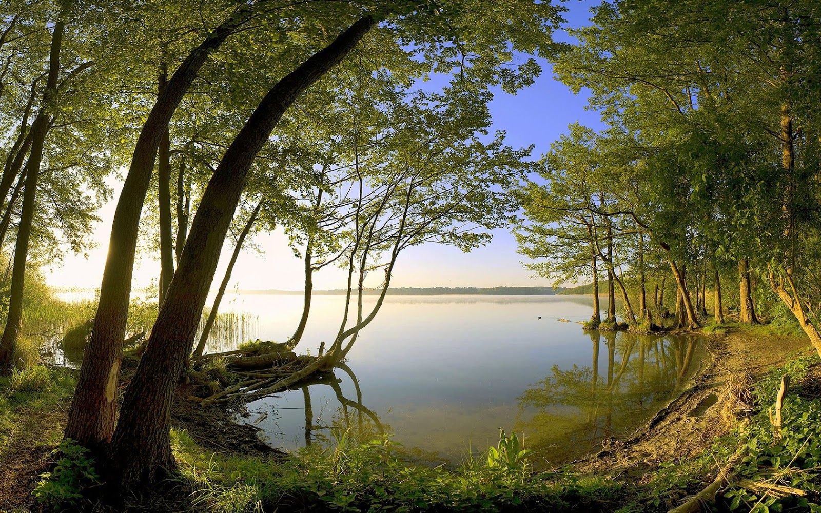 image naturelle fond d'écran hd,paysage naturel,la nature,arbre,plan d'eau,banque