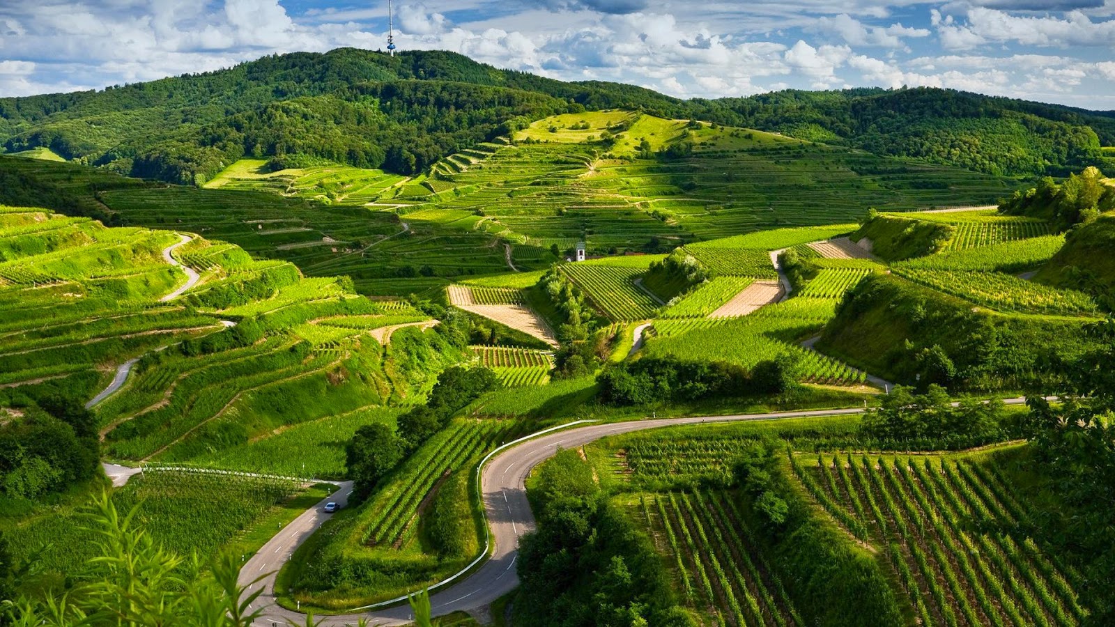 imagen natural fondo de pantalla hd,terraza,paisaje natural,naturaleza,paisaje,plantación