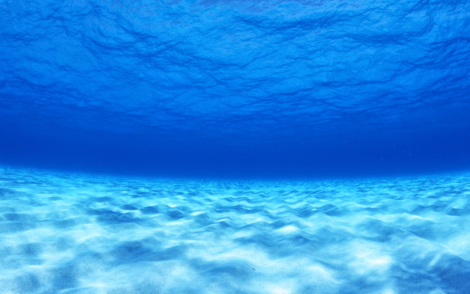 fond d'écran hd sous l'eau,bleu,l'eau,ciel,aqua,sous marin