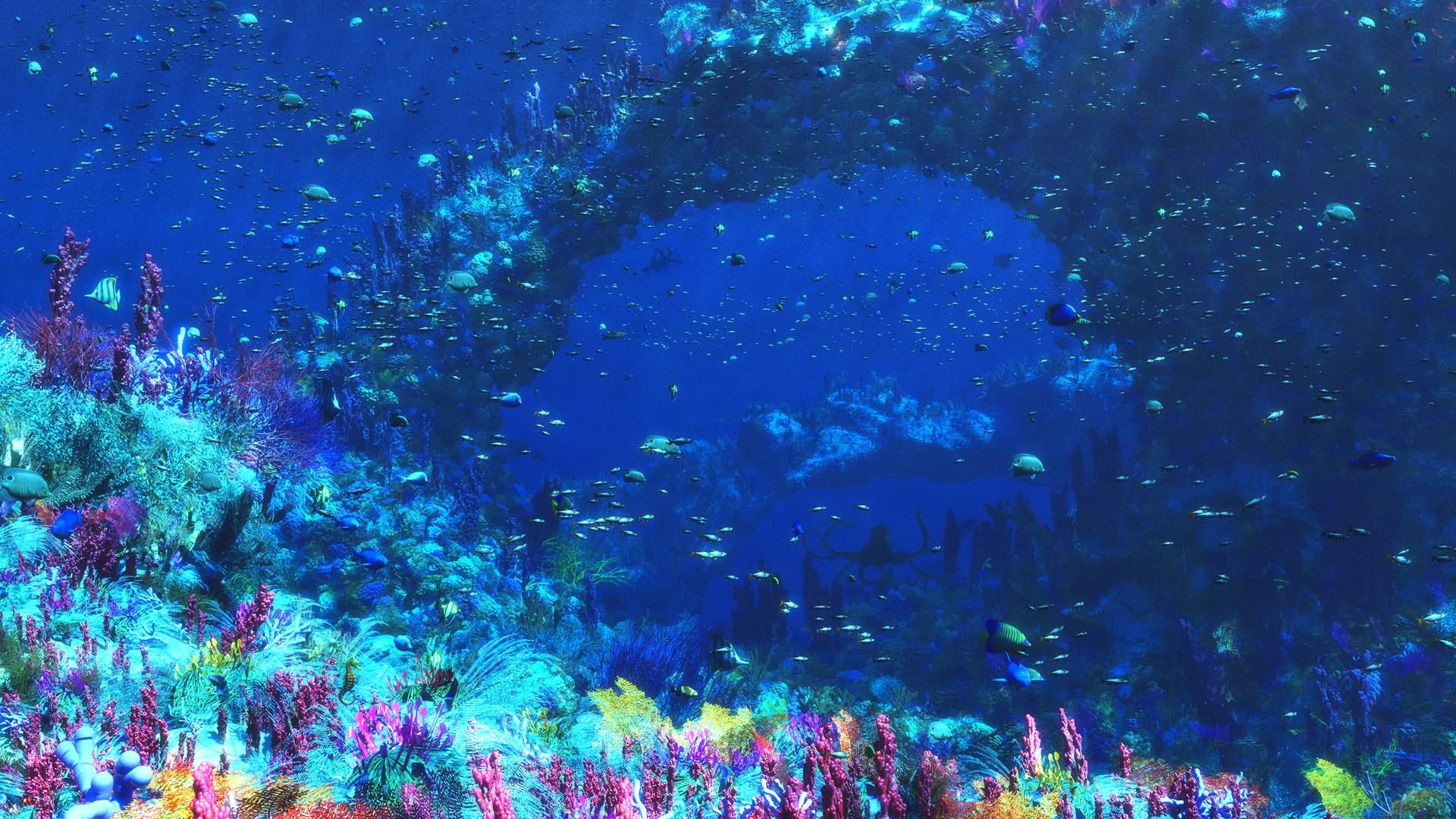 fondo de pantalla hd submarino,azul,agua,agua,arrecife de coral,biología marina
