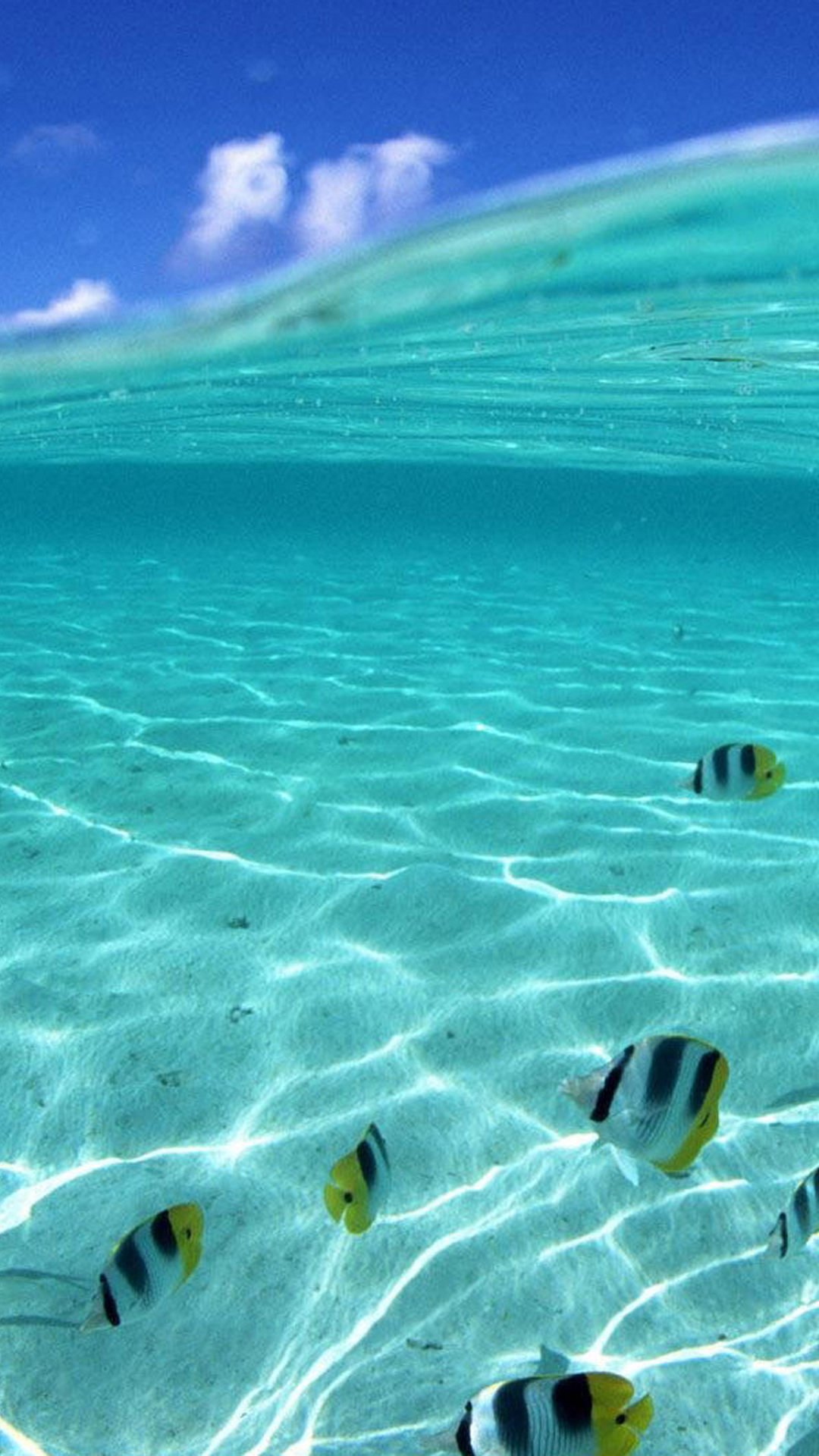 fond d'écran hd sous l'eau,océan,aqua,l'eau,mer,vague