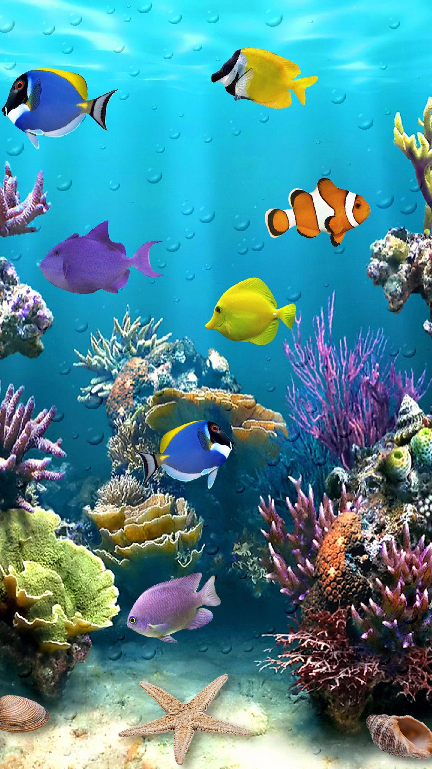 水中ライブ壁紙,サンゴ礁,リーフ,サンゴ礁の魚,魚,海洋生物学