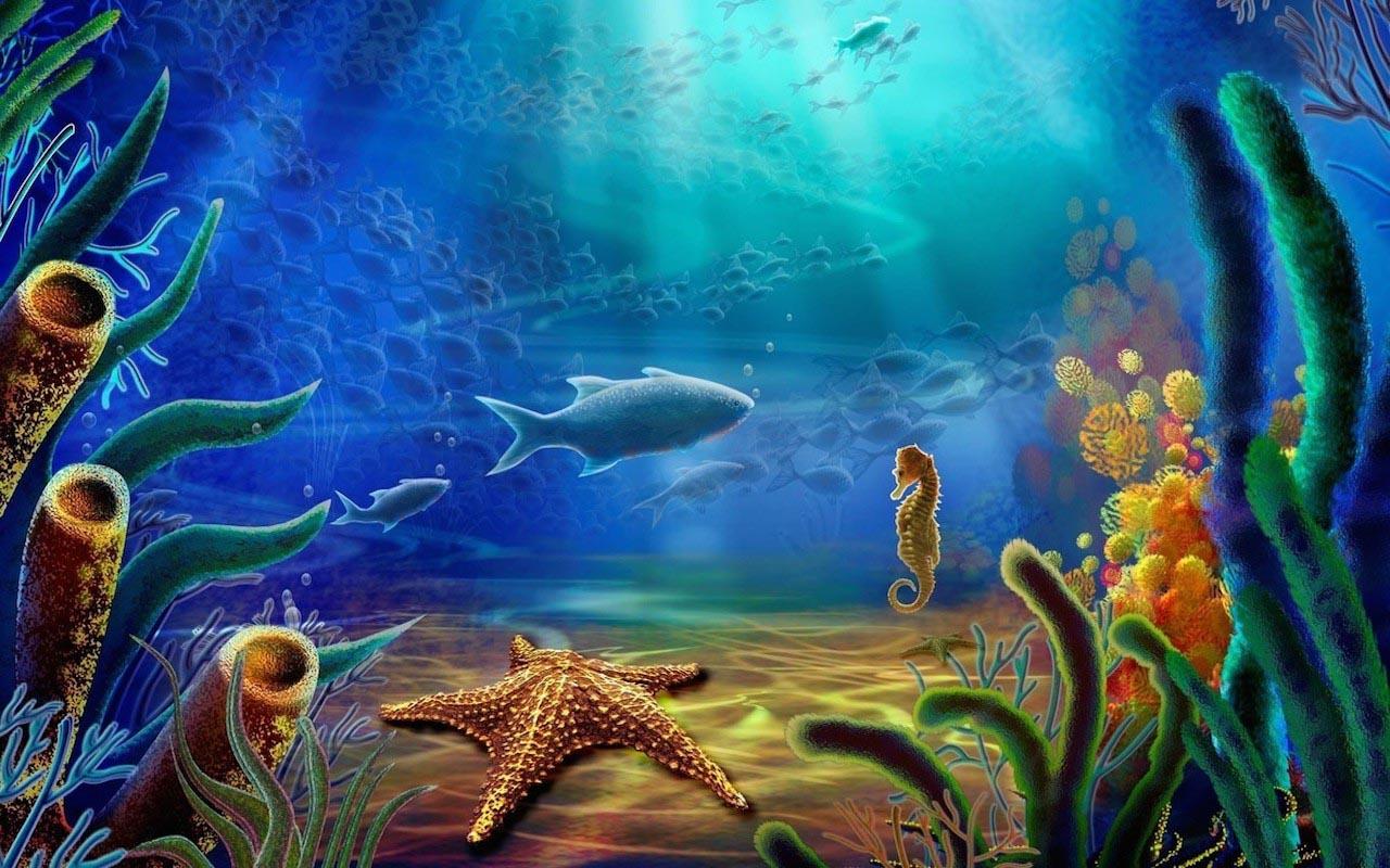underwater live wallpaper,marine biology,underwater,organism,fish,ocean
