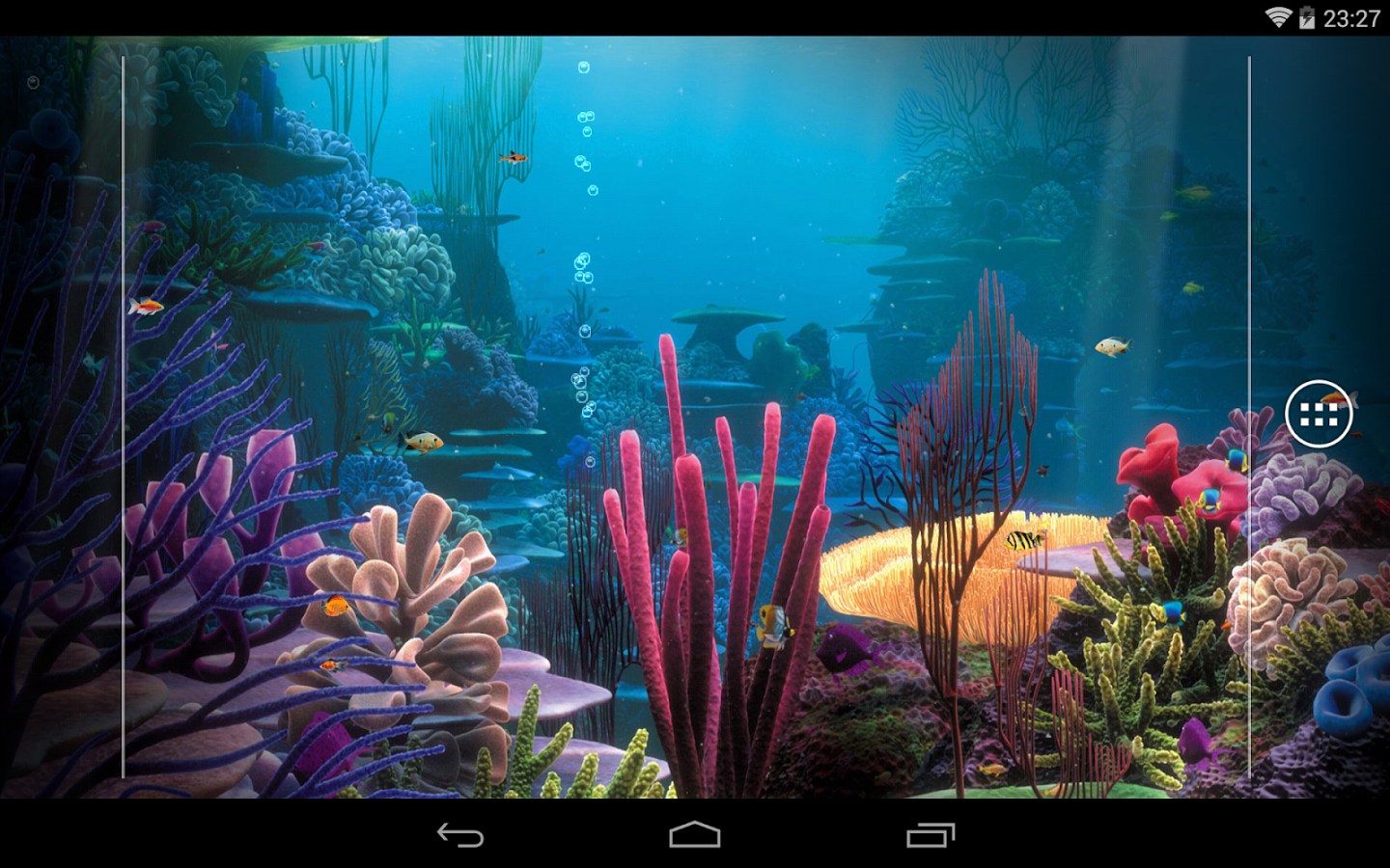 underwater live wallpaper,nature,underwater,organism,coral reef,natural environment