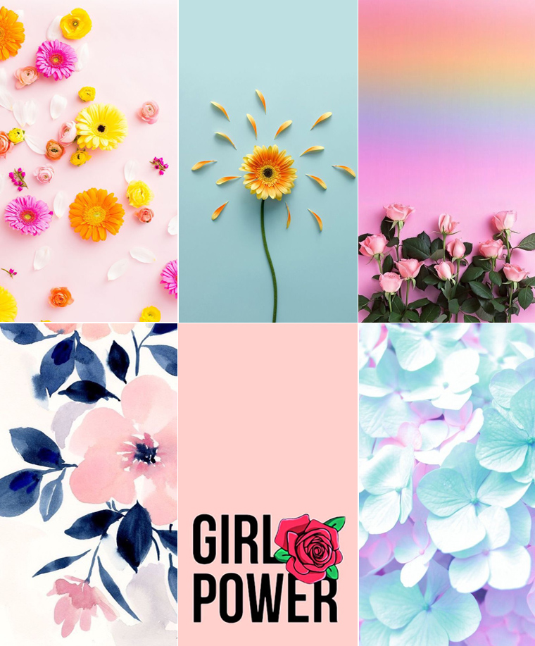 papier peint tumblr feminino,fleur,pétale,rose,plante,fleurs sauvages