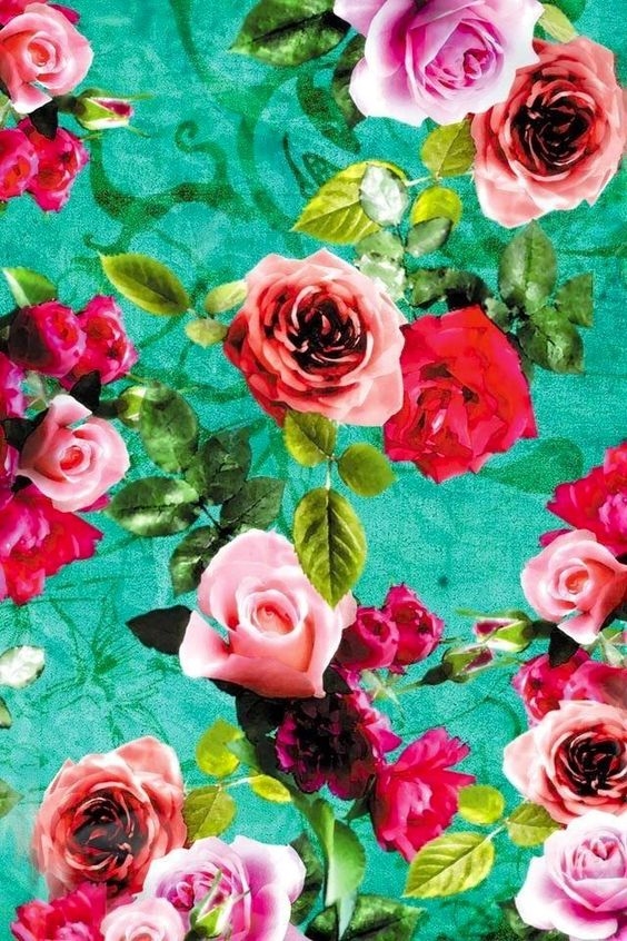 wallpaper tumblr feminino,rose,garden roses,pink,flower,pattern