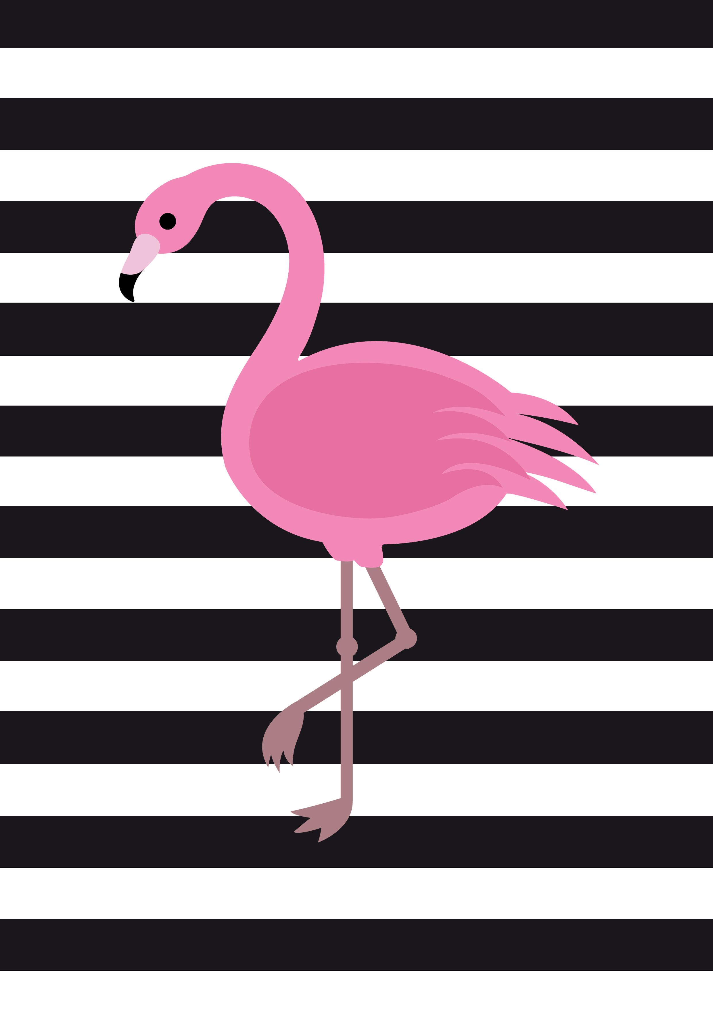 배경 tumblr feminino,새,플라밍고,더 큰 플라밍고,분홍,물새