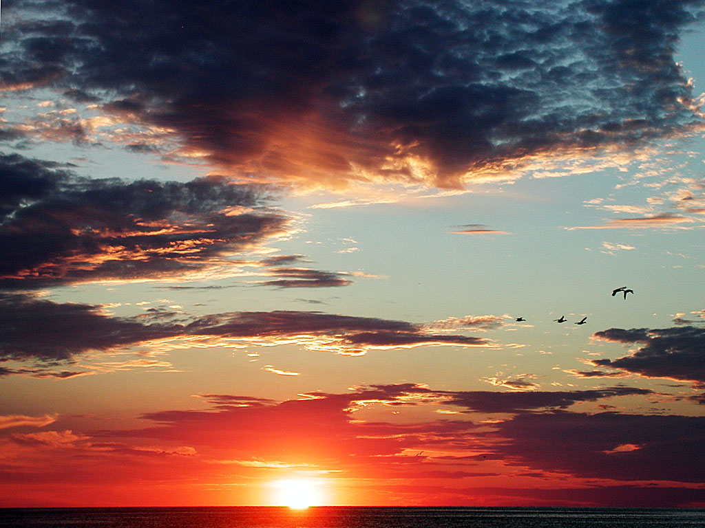 goodbye wallpaper,sky,afterglow,horizon,cloud,sunset