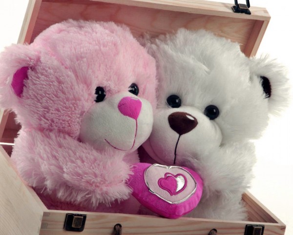 teddy day wallpapers,stuffed toy,toy,plush,teddy bear,pink