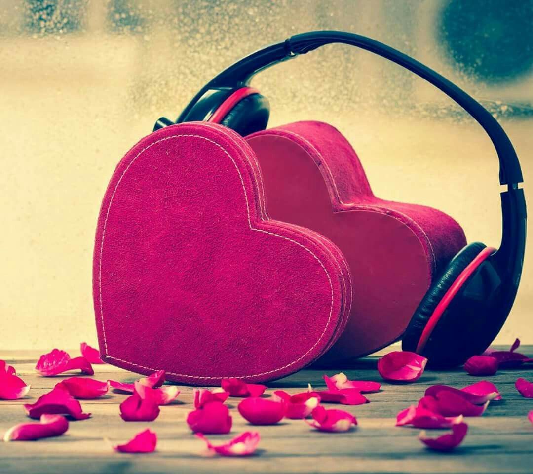 cute wallpapers for whatsapp,heart,love,pink,organ,valentine's day