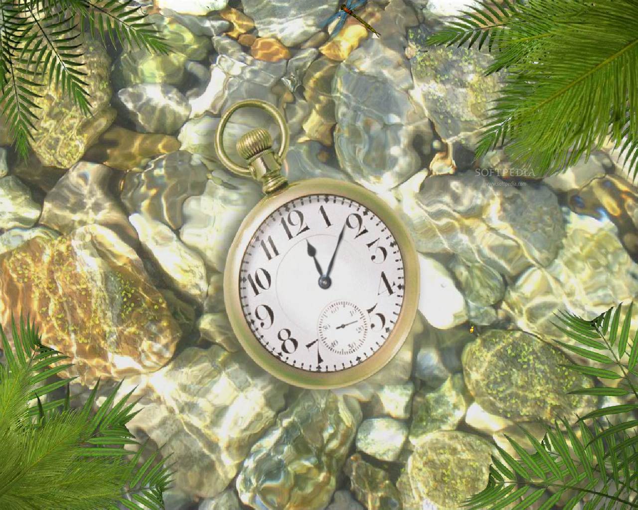 sfondo di data e ora,orologio,orologio,orologio da tasca,interior design,albero