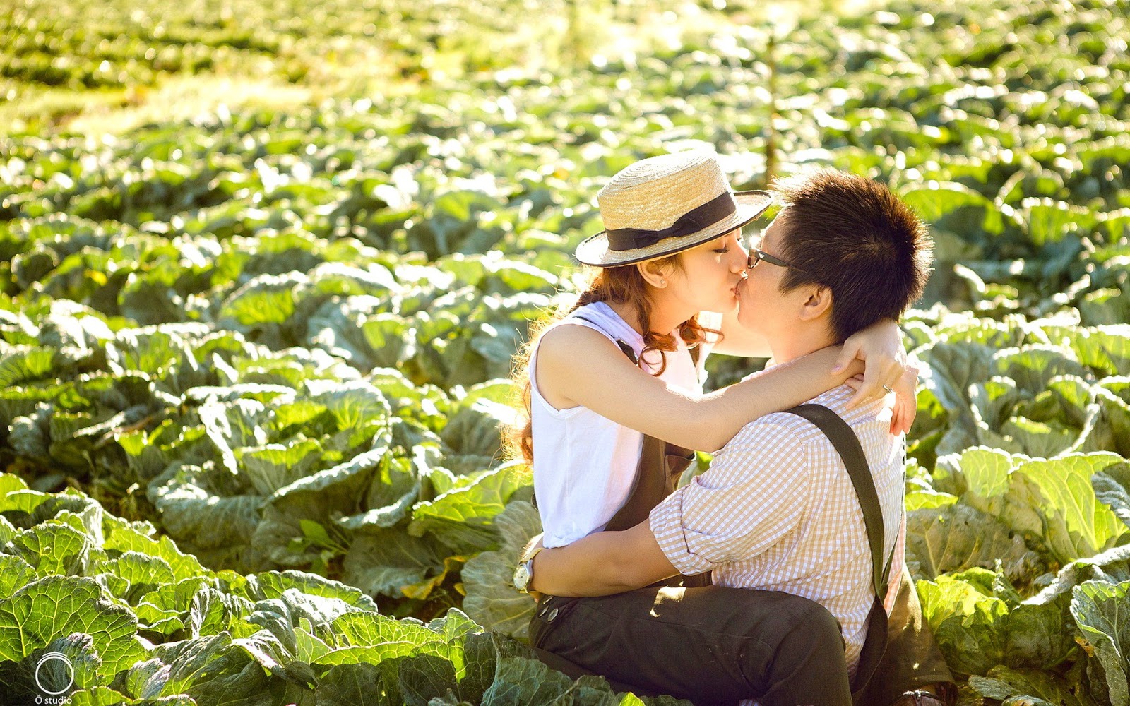 kiss wallpaper full hd,people in nature,botany,crop,plant,plantation