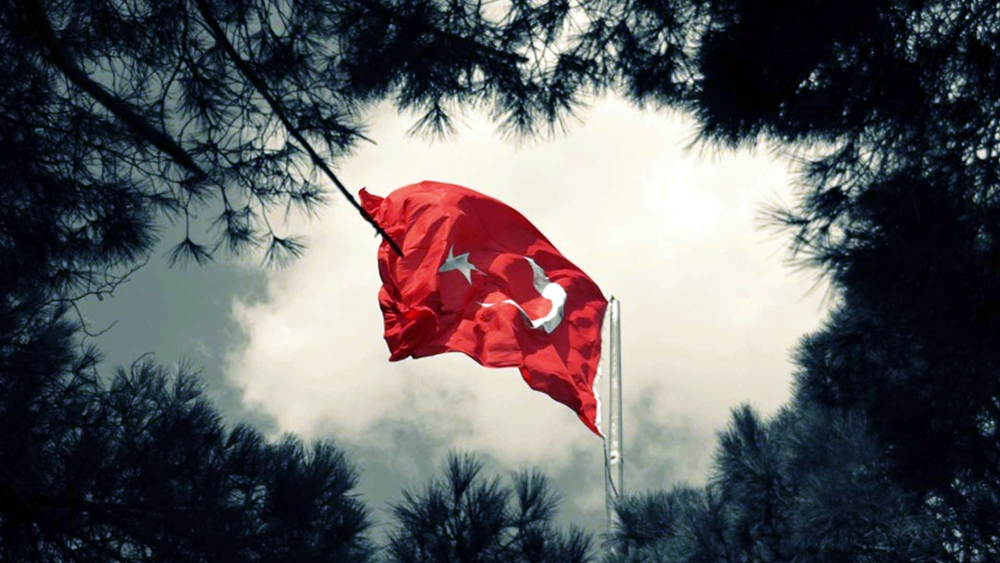 türk wallpaper,flag,red,sky,tree,red flag