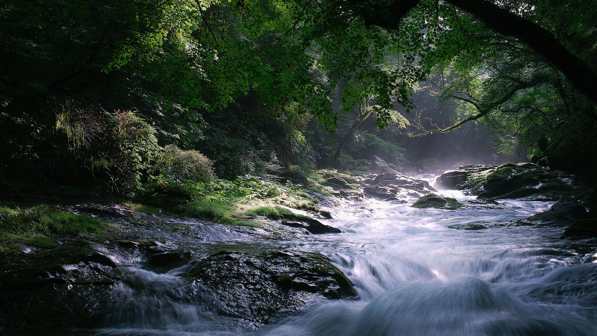 hermosa descarga de fondos de alta definición,cuerpo de agua,recursos hídricos,paisaje natural,naturaleza,corriente