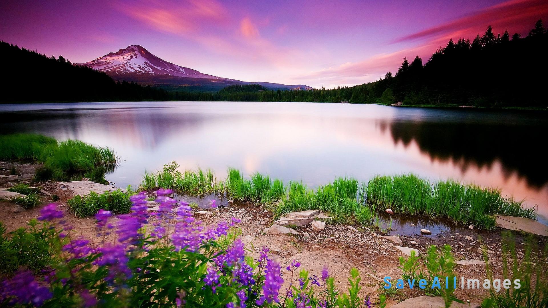 bellissimo download di sfondi hd,paesaggio naturale,natura,lago,cielo,riflessione