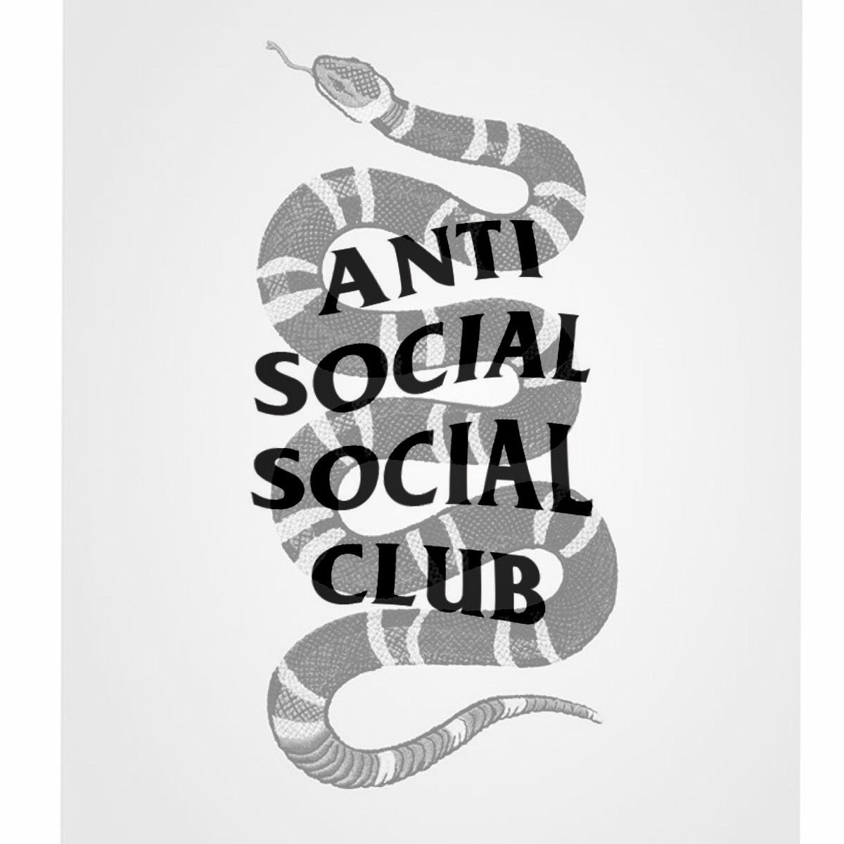 anti social social club wallpaper,font,poster,calligraphy,snake,reptile