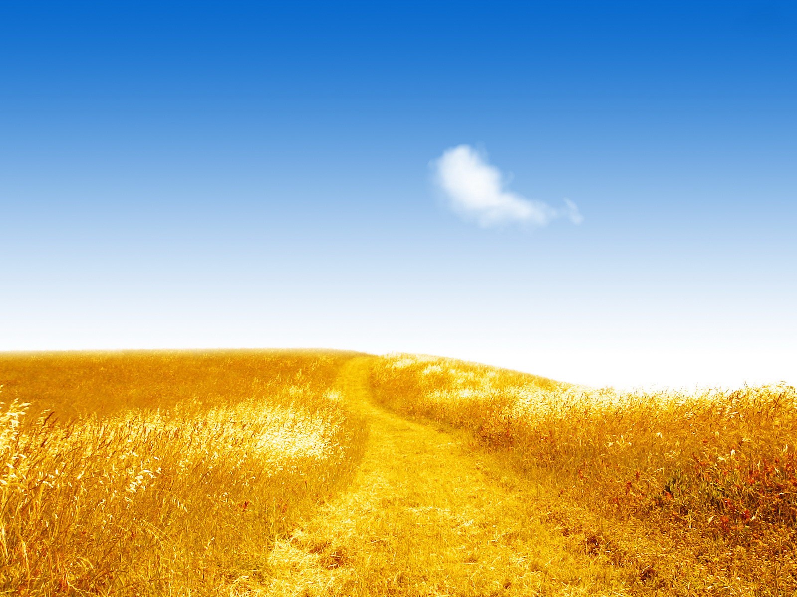 en güzel wallpaper,sky,nature,yellow,daytime,natural landscape