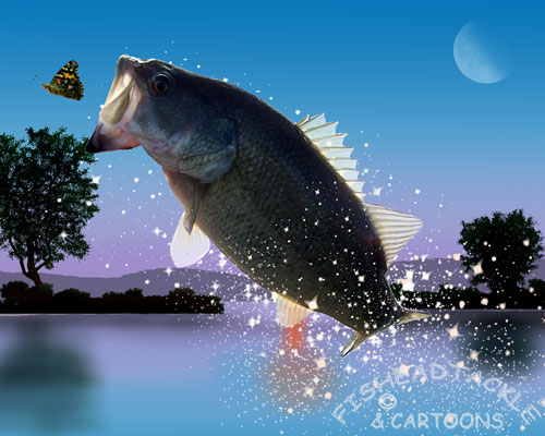bass fishing wallpaper,fish,bass,carp,fishing,recreation
