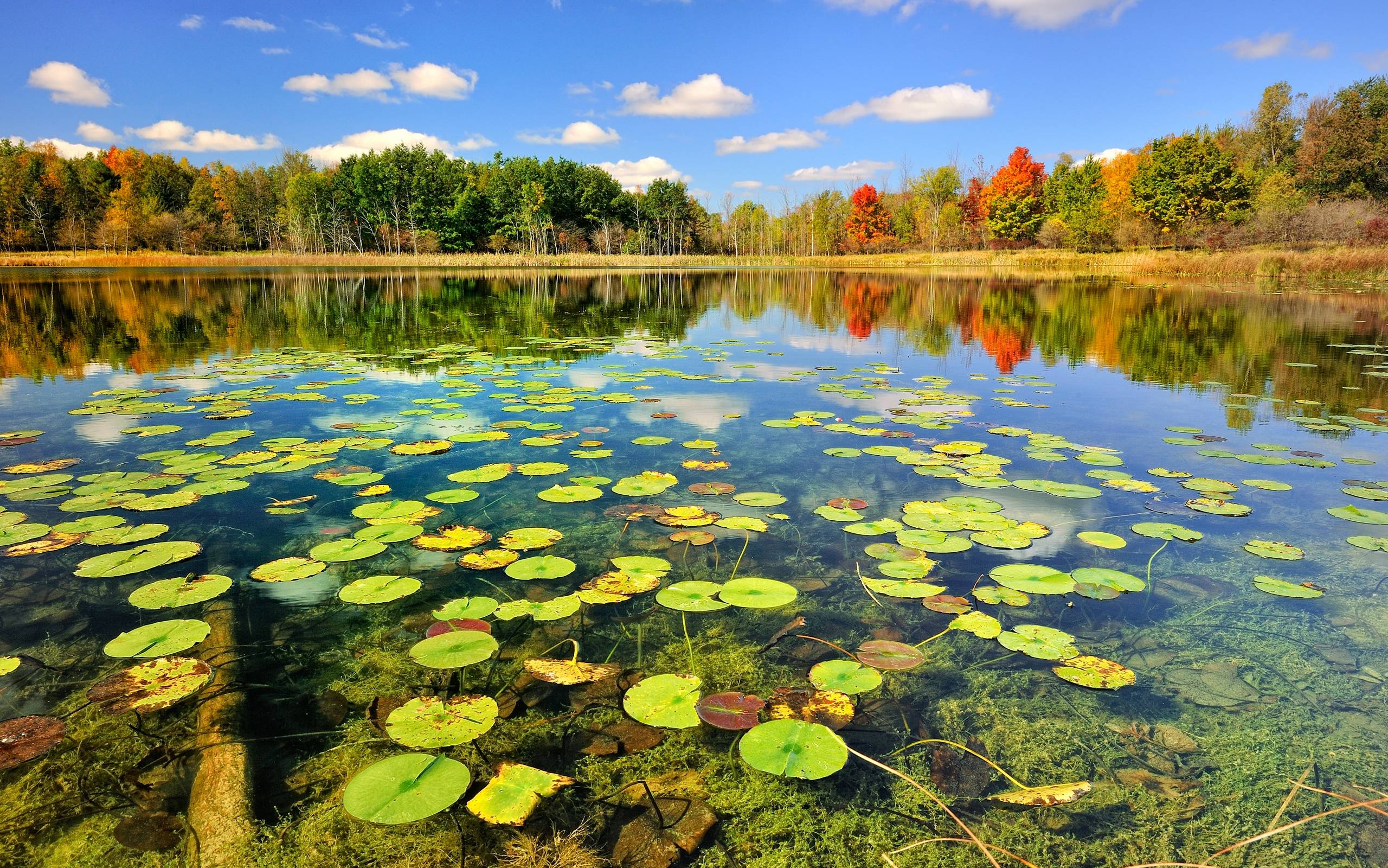 fondo de pantalla de pesca baja,paisaje natural,naturaleza,agua,reflexión,estanque