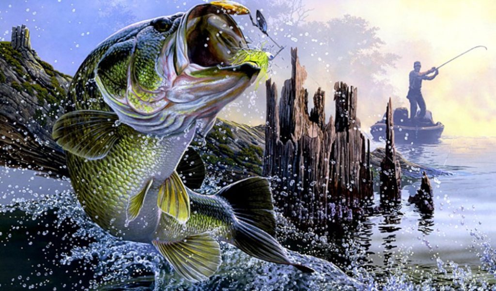 carta da parati bass fishing,pesce,basso,pesce,persico trota settentrionale