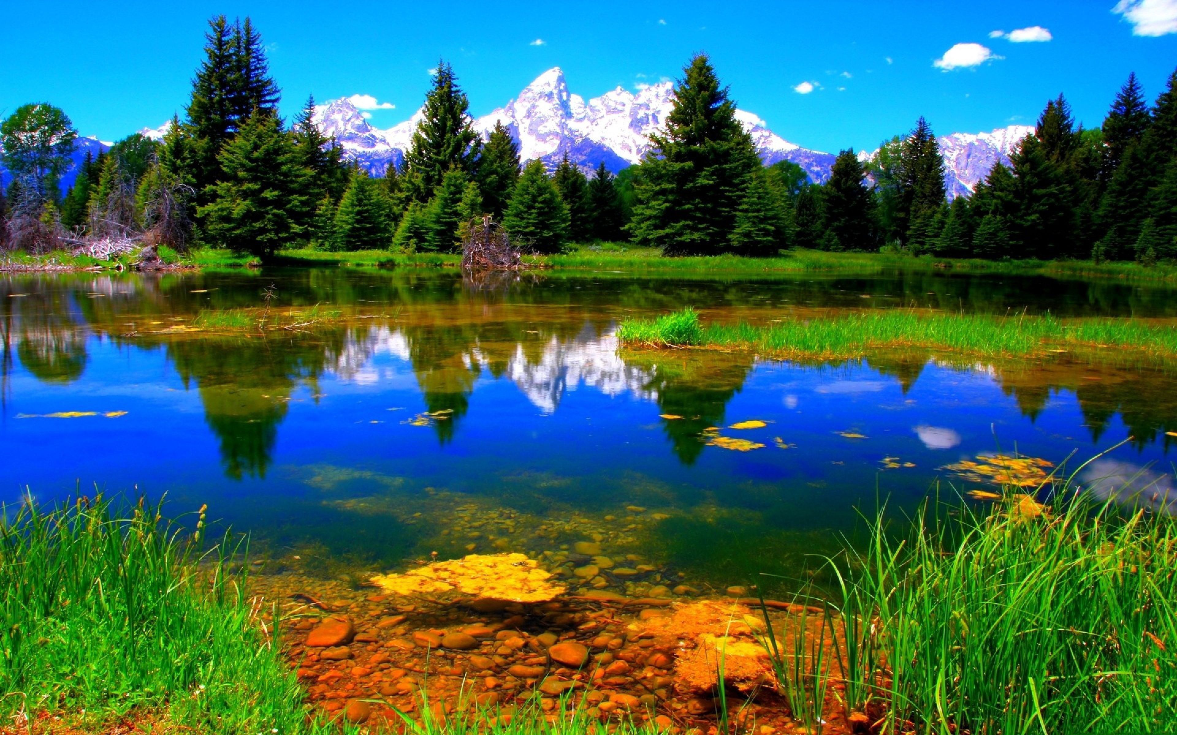 imágenes de fondo de pantalla,paisaje natural,naturaleza,reflexión,agua,estanque