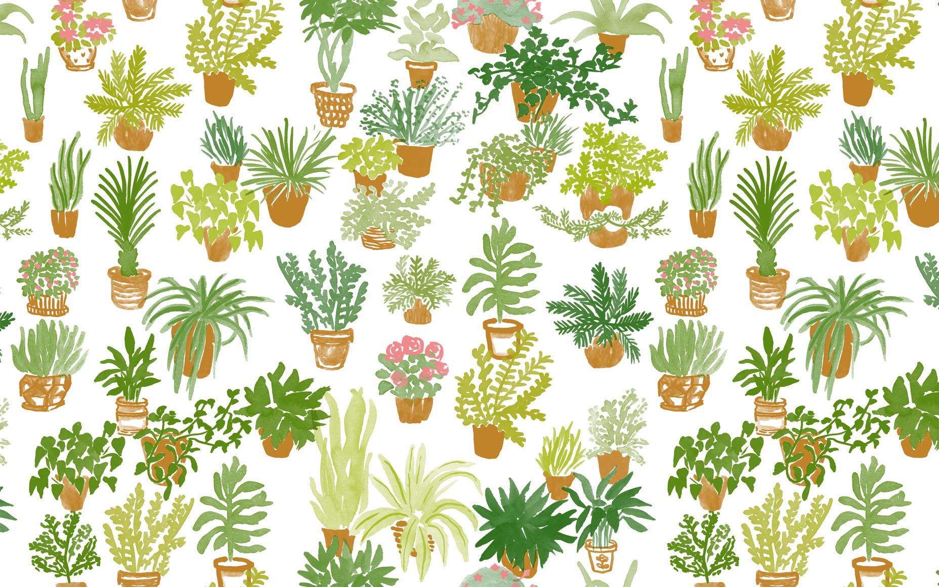 wallpaper para computador,plant,pineapple,flower,botany,pattern