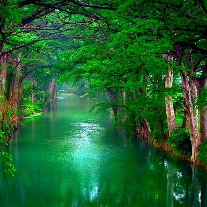 melhores壁紙hd,自然の風景,自然,水域,緑,森林