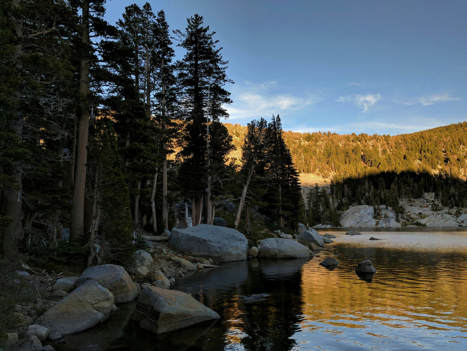 fondos de escritorio telem vel,naturaleza,cuerpo de agua,paisaje natural,árbol,reflexión