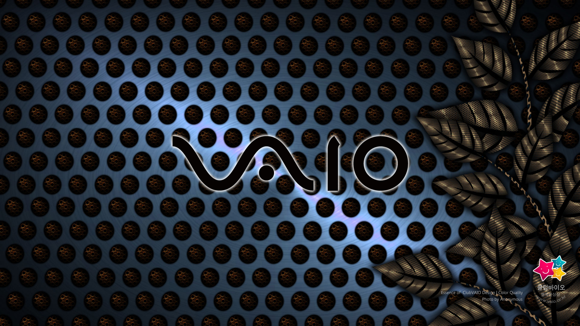 Kemba Walker Wallpaper Basketball Player Basketball Basketball Moves Sports Team Sport Wallpaperuse