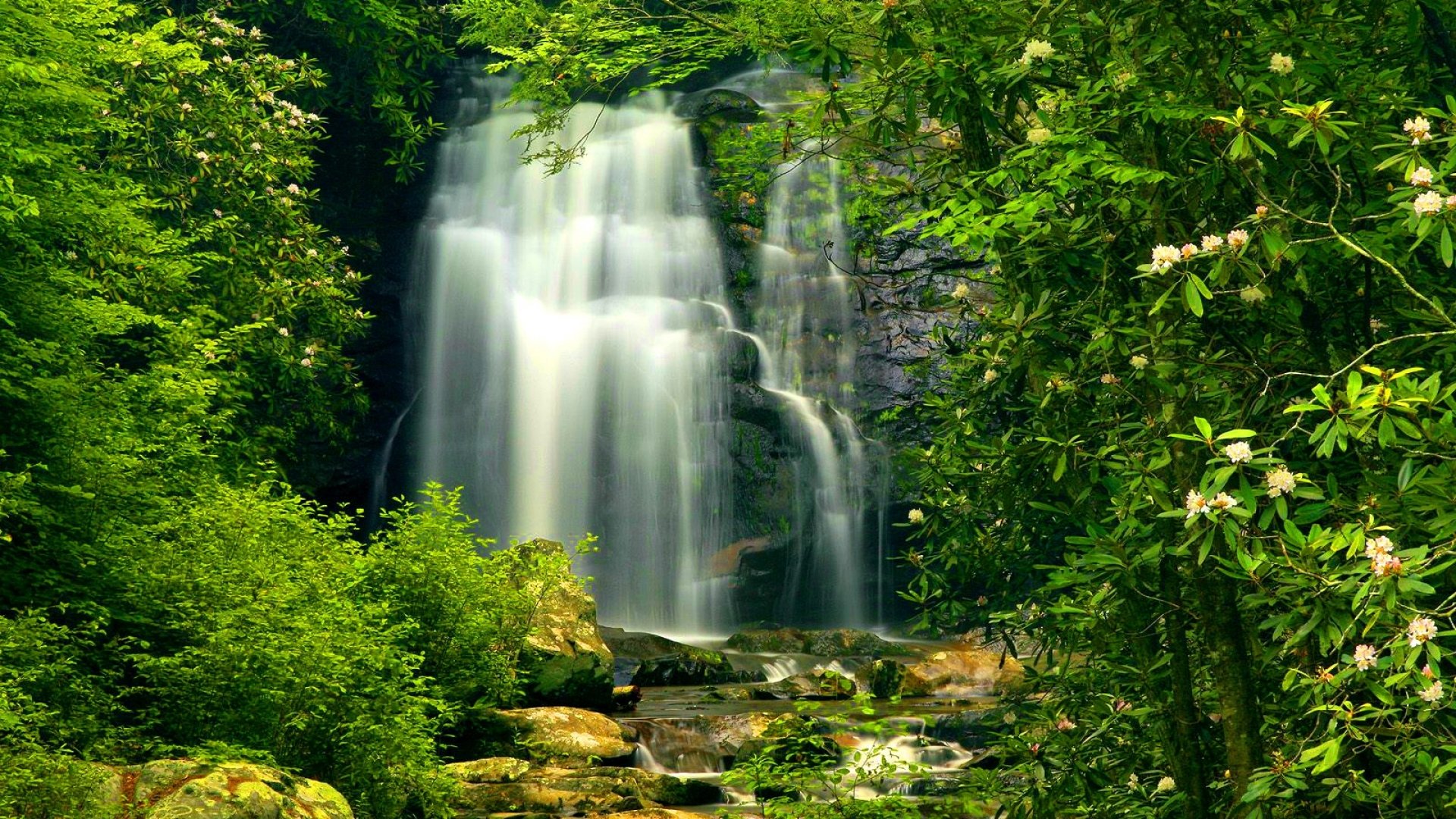 carta da parati papel de parede,cascata,risorse idriche,paesaggio naturale,corpo d'acqua,natura