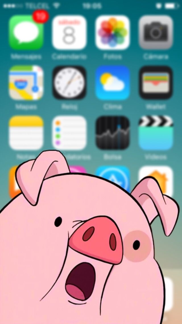 wallpapers chidos,cartoon,snout,suidae,domestic pig,nose