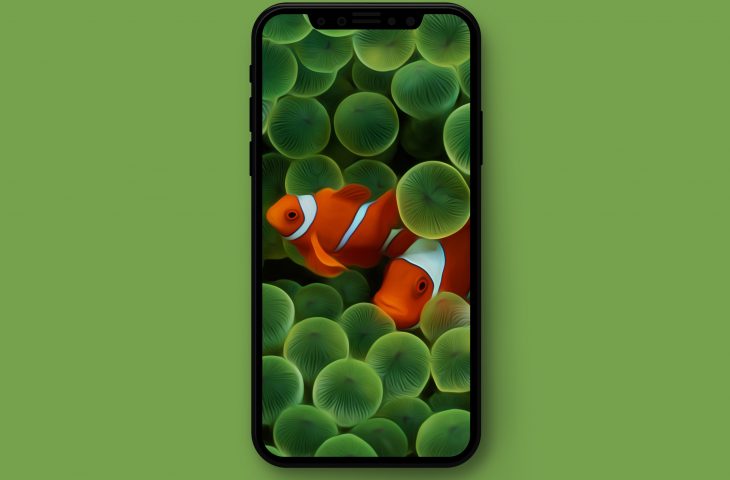 iphone standard wallpaper,mobile phone case,green,technology,mobile phone accessories,organism