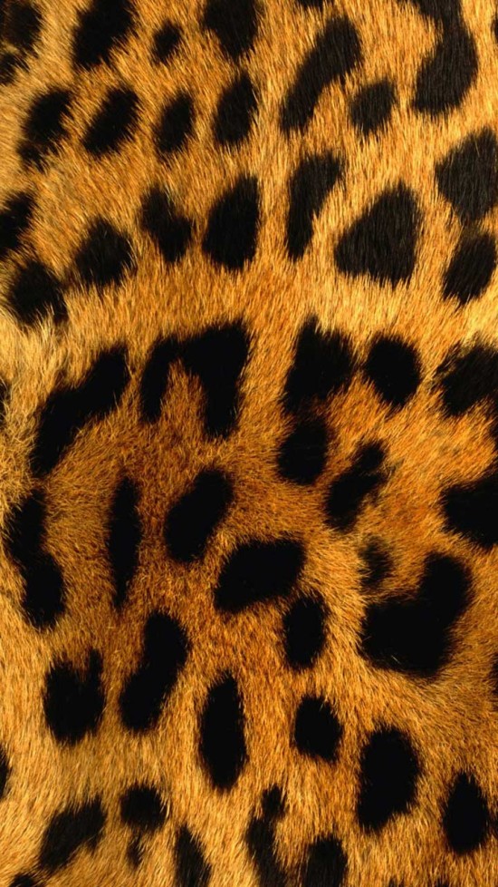 wallpapers originales,fur,pattern,felidae,terrestrial animal,close up