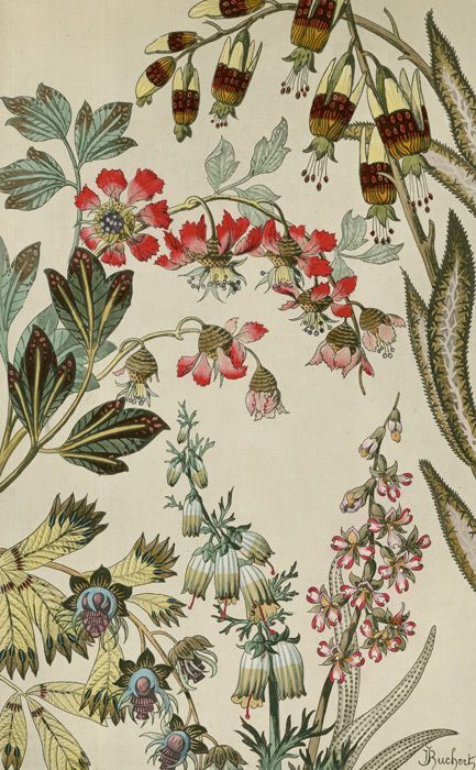 antique wallpaper reproductions,botany,plant,pattern,textile,leaf