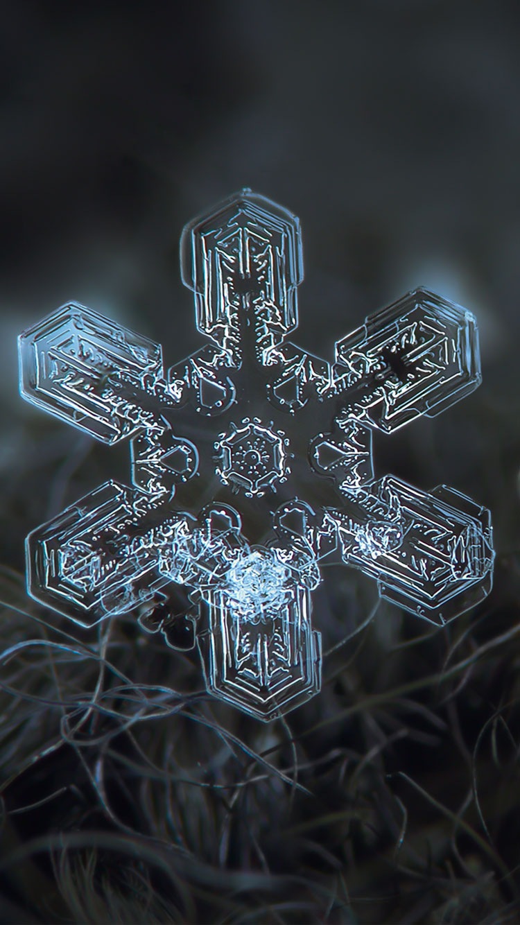 best iphone 6s plus wallpaper,snowflake,cross,design,pattern,symmetry