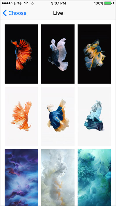 6s plus wallpaper,feather,organism,painting,animation,illustration